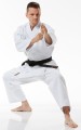 karategi-14-oz-tokaido.jpg