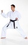 Karategi Tokaido Tsunami Silver 12oz 