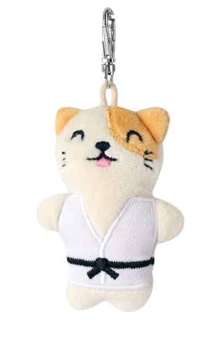 kot-w-kimonie-karate.jpg
