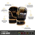 stormcloud-rekawice-do-mma-dla-dzieci-lynx-aztech-special-edition (1).webp
