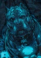 pit-bull-spodenki-treningowe-grappling-guardian-angel_7.webp
