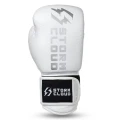 rękawice-stormcloud-boxing-pro.webp