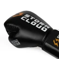 rękawice-stormcloud-boxing-pro-2.0-super.webp