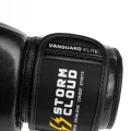 vanguard2-233.webp