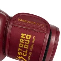 vanguard1-294.webp