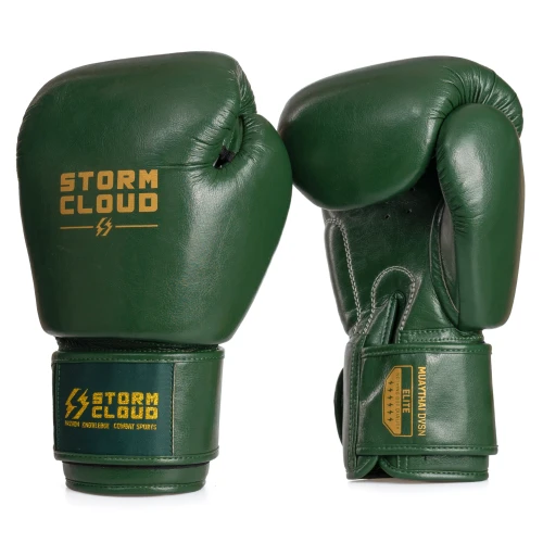 stormcloud-vanguard-skora — kopia.webp