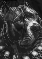 pit-bull-spodenki-treningowe-grappling-blacky_8.jpg