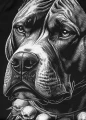 pit-bull-rashguard-longsleeve-blacky_6.webp
