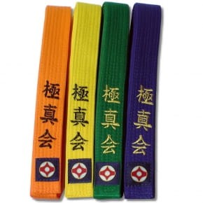 pasy_kyokushin_madake_łódź_jpg