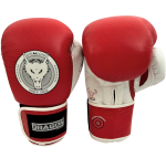 RĘKAWICE BOKSERSKIE AIR MAXX SKÓRA DRAGON